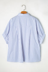 Sky Blue Stripe Dolman Sleeve Oversized Blouse